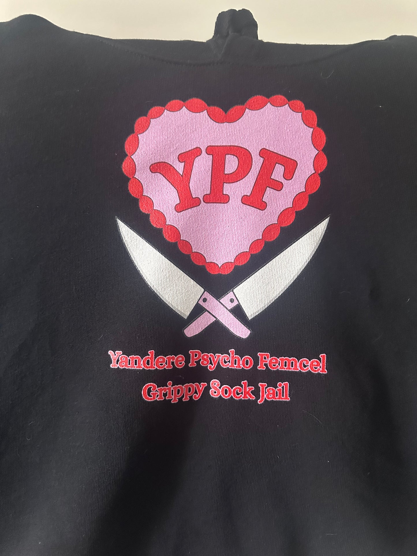 YPF Crop Hoodie