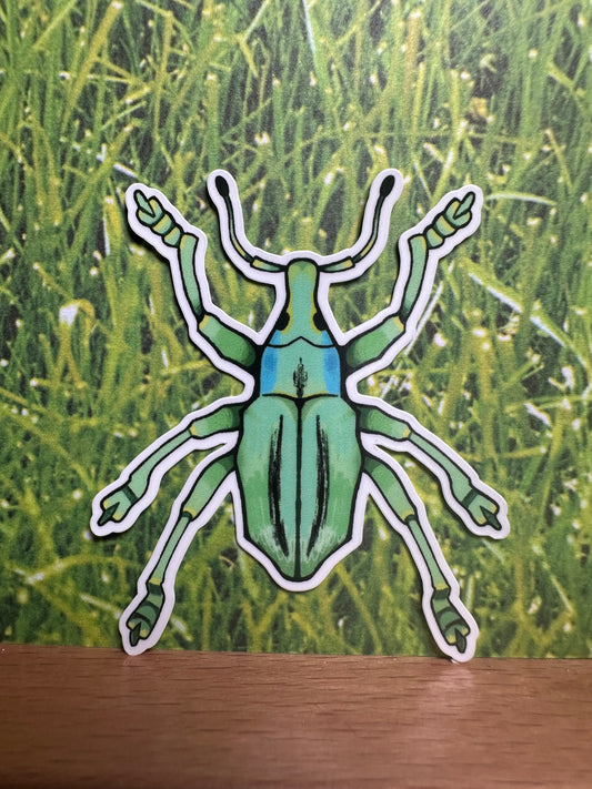 green bug